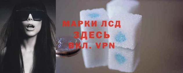 мяу мяу мука Беломорск