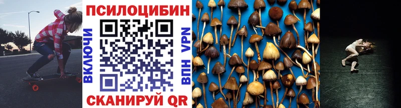 Псилоцибиновые грибы Psilocybine cubensis  Купить закладки  Сосновоборск 